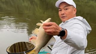 大洪湖代釣鯽魚，客戶要求100斤就有點嚇人了#钓鱼 #fishing