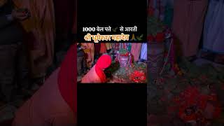 1000 belpatra se Aarti Shri dhumeshwar Mahadev ki //dhumeshwar Sarkar//