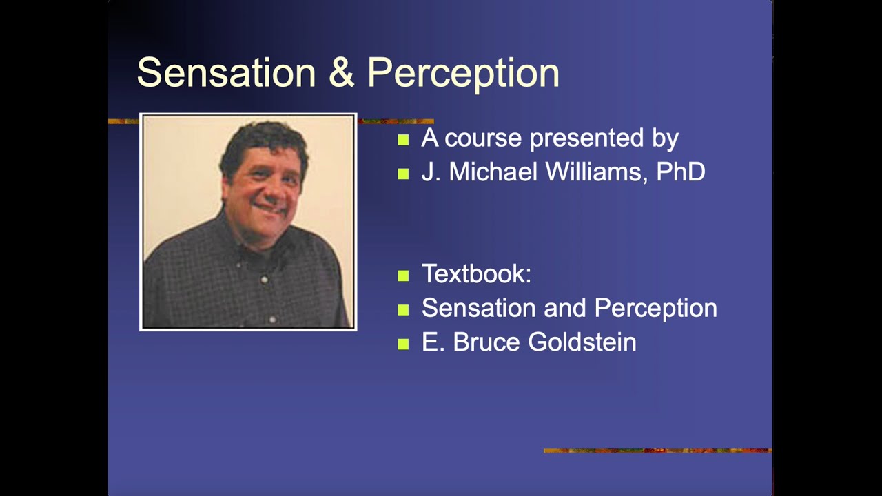 Introduction To Sensation And Perception - YouTube