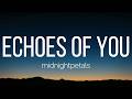 midnightpetals - echoes of you (Lyrics)