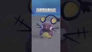 これなにこれなに❓⭐️デデンネ⭐️