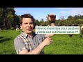 How to maximise your pasture yields and nutritional value? There is a tool that can help you.