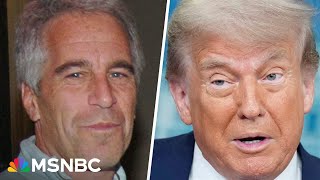 ‘Massive global cover-up’: Oversight Cmte. member speaks out on Epstein fallout