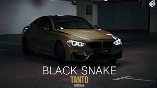 Tanto, BartiZ - Black Snake (BartiZ Remix 2022)