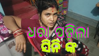 ଧରା ପଡ଼ିଲା ସିନି ଙ୍କ/Pabitra Vlogs