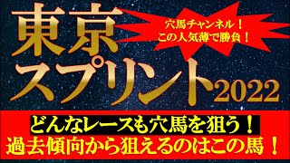 【東京スプリント2022】推奨馬発表！大井1200mなら狙える穴馬で勝負！激走に期待だ！