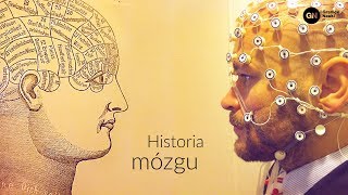 Historia mózgu: od aleksandryjskich medyków po neuroplastyczność, Mateusz Hohol