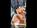 象棋残局：街边棋摊没一个会破解的