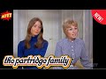 The Partridge Family 2024 🌺🌺Full Episodes - Guess Who's Coming to Drive?🌺🌺Comedy American Sitcom