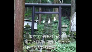 【山梨のパワースポット】軍刀利神社は縁結びのご利益