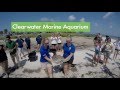 Four Sea Turtles Released in 3 Weeks