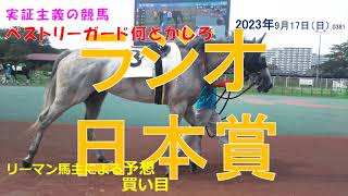 ラジオ日本賞2023 【予想】９月戦線巻き返します！実証主義の競馬：中山競馬 ラジオ日本賞の予想 _0381