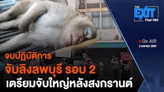 จบปฏิบัติการจับลิงลพบุรี รอบ 2 เตรียมจับใหญ่หลังสงกรานต์ | ข่าวค่ำมิติใหม่ | 2 เม.ย. 67