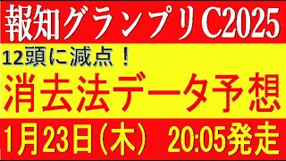 報知グランプリカップ2025（船橋競馬）⚠️12頭に減点！消去法データ予想