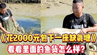 花2000塊包下個要缺氧的魚塘，沒想到裏面的魚都這麽大？#户外 #三农 #新农人计划 #抓鱼