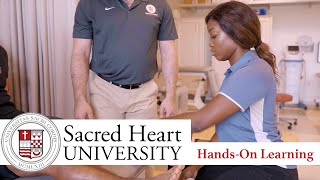 Hands-On Learning at Sacred Heart University | The College Tour