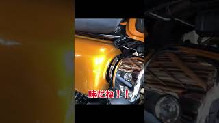 【W800 ・メンテナンス】冬を越したら白サビが！！バイク磨き前編#Shorts