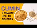 5 AMAZING HEALTH BENEFITS OF CUMIN | CUMIN: A POWERFUL SPICE FOR HEALTH AND LONGEVITY.