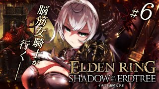 【ELDENRING】[NPC遺灰縛り]待望のDLC！メイス二刀流 ダンゴムシバッタ王、再びー。【白銀ノエル/ホロライブ】