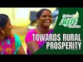 National Agro Foundation - An Overview - Organisation Video 2021