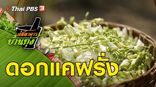 ดอกแคฝรั่ง : ภัตตาคารบ้านทุ่ง
