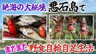 絶海の大秘境「悪石島」で野食自給自足生活