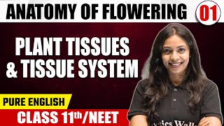 ANATOMY OF FLOWERING 01 | Plant Tissues & Tissue System | Botany | Pure English | Class 11th / NEET