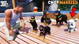 Shinchan \u0026 Franklin Found Chop's Secret Marriage And Puppies In GTA 5 | Paradox FTW