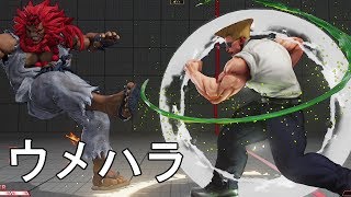 ウォーロード豪鬼との激闘 ウメハラガイルの豪鬼戦　Daigo Umehara(Guile) VS Naooonn, Owaechan(Akuma) FT2