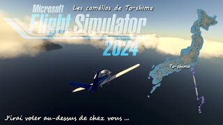 Les îles japonaises de la mer des Philippines (part.02) : To-shima (MSFS2024)