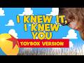 Taylor Swift - I Knew It, I Knew You (Toybox Version)