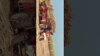 855 tractor# 2 loaded  tralies #gujjar_brand #gujjar page #tractorstunt #tractorlovers