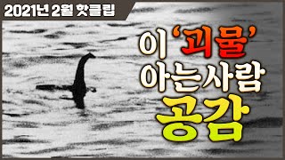 네스호의 괴물을 아십니까? - 21년 2월 핫클립