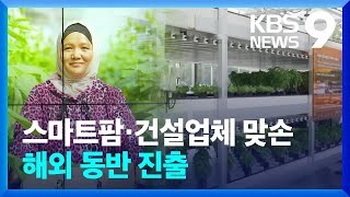 K 스마트팜, 건설업체와 손잡고 해외로 [9시 뉴스] / KBS  2024.06.22.