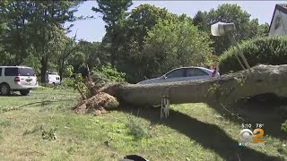 Residents Clean Up After Tornado Hits Manorville