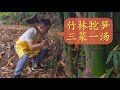 Chef Wang shares: Three dishes and one soup with Bamboo Shoots, freshly chopped in bamboo forest