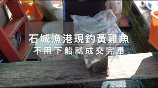 石城漁港現釣黃雞魚︱不用下船就成交完畢