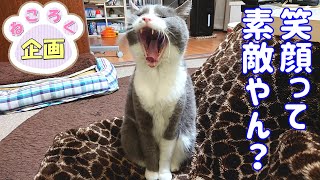 愛猫ショート動画（TikTok Ver.＋α）まとめ #7