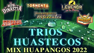 🎻Mix Huastecos Huapangos 2022🔥Trios Imperiales De La Sierra,Halcon Huasteco,Huapangueros Diferentes