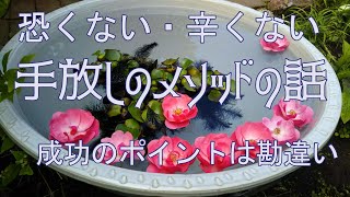 ✋解放・手放し✋ワークが怖い・うまくいかない😢のは、手放すことを勘違い👀👀しているから