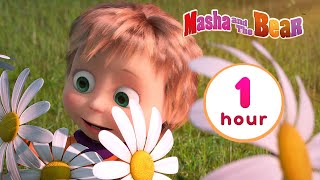 Masha and the Bear 🐻👱‍♀️ Friends and family 🤗🐼 1 hour ⏰ Сartoon collection 🎬