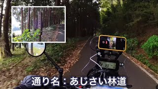 【#03】【舗装路】林道西山田線(あじさい林道)(2023/11/03)