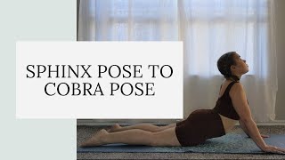 Sphinx to Cobra Pose (Salamba Bhujangasana to Bhujangasana)