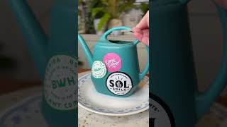 എൻ്റെ പാമ്പ് ചെടി വേർപെടുത്തുന്നു. Solsoils-ൽ 10% കിഴിവ് നേടൂ https://solsoils.com/?sca_ref=4035372.swaBDgNl9M