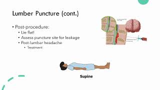 Neuro Diagnostic Test Part 1