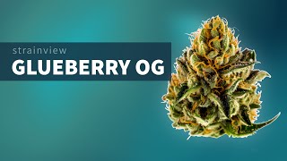 Glueberry OG - StrainView