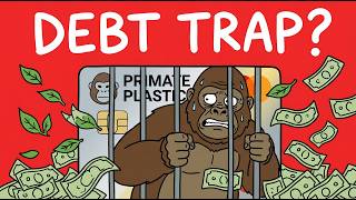 Monkey Took a Credit Card… Big Mistake