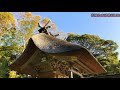 【大洗磯前神社】神の運気を授かる日の出 神磯の鳥居【茨城県東茨城郡】