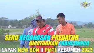 FINAL‼️SERU KEGANASAN PREDATOR DIPATAHKAN FRANCONERO || LAPAK NEW BDN PMTI KEBUMEN 2023