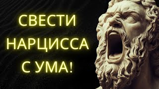 9 Способов Свести Нарцисса С Ума Без Усилий (С Использованием Стоицизма)